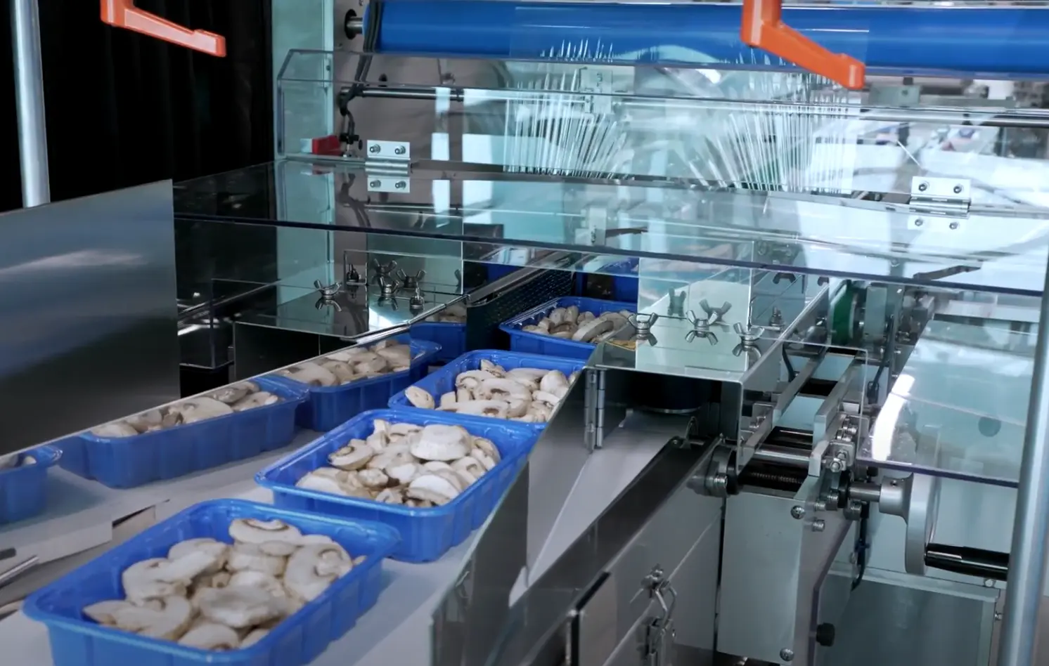 food-packaging-machine
